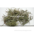 Horsetail herb/Equiseti Arvensis Wen jingcao